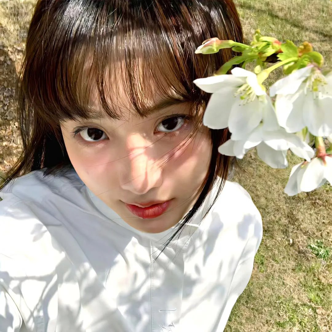 不朽真情